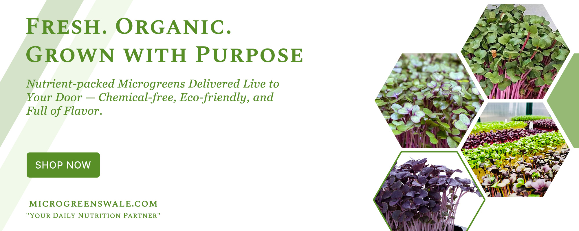 Banner-IMG-2-sizr-2000-x-800