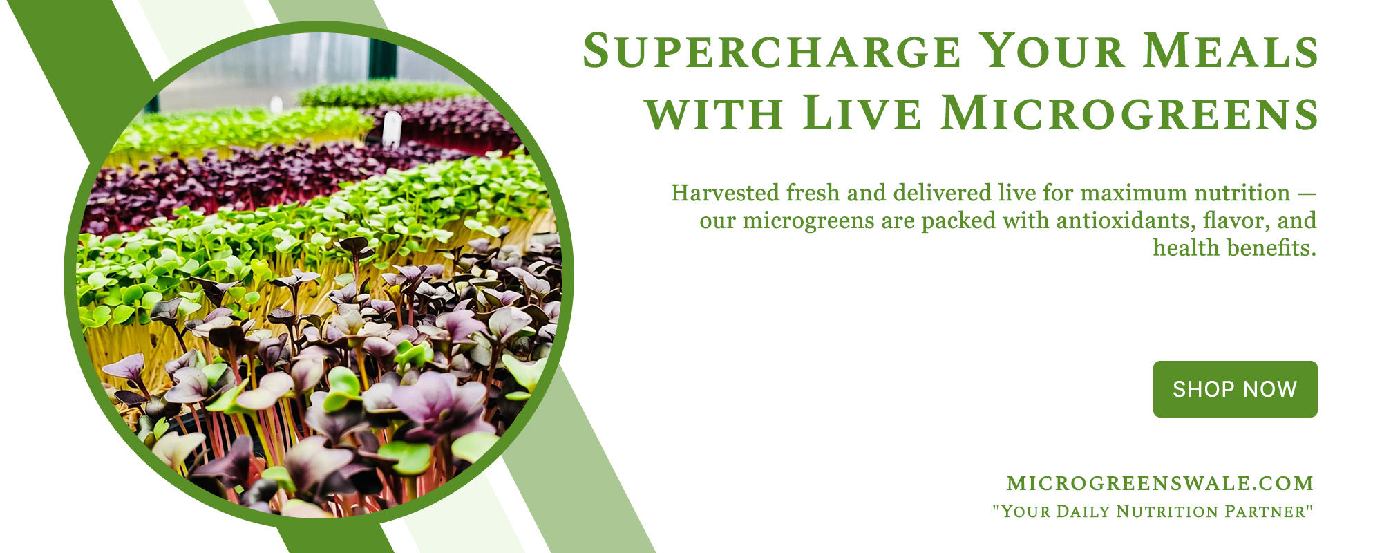 Banner-IMG-3-sizr-2000-x-800