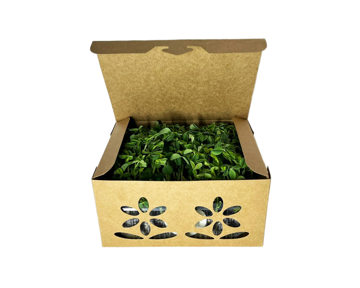Product IMG 1
